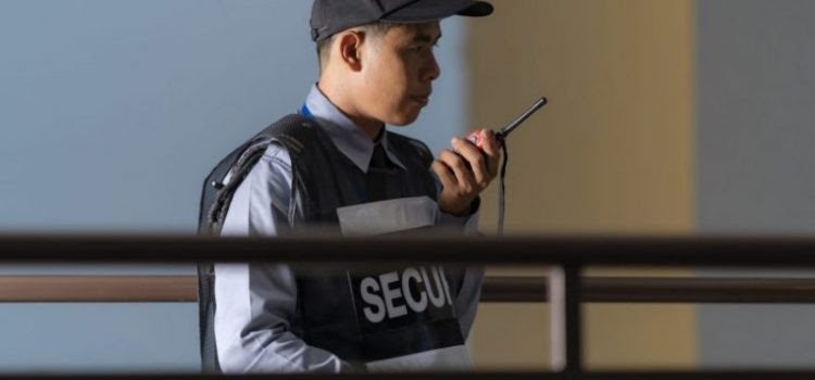 Aulas de ensino do Alcorão pela Internet para crianças